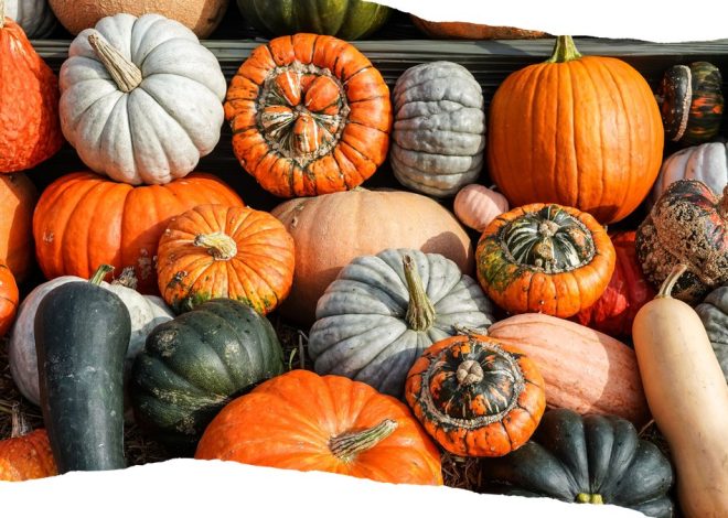 The World Has Gone Pumpkin. Or Has It?