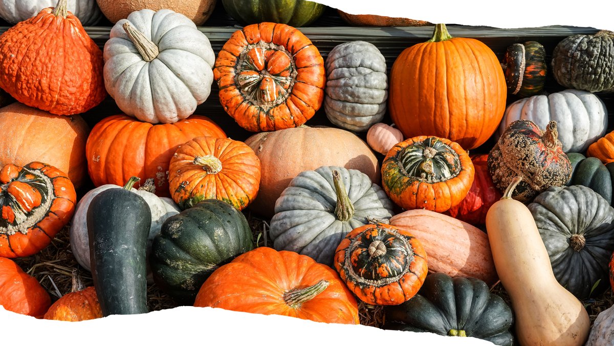 The World Has Gone Pumpkin. Or Has It?